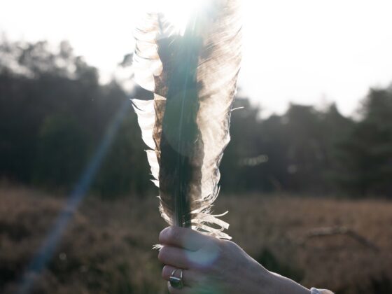 Een hand die een zachte veer vasthoudt, symboliseert de spirituele verbinding en de essentie van Earth Medicine: een pad naar vrijheid, balans en natuurlijke wijsheid.