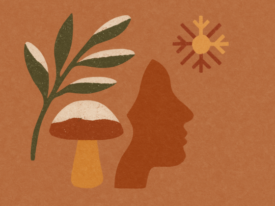 Abstracte illustratie met een silhouet van een gezicht, een plant met groene bladeren, een paddenstoel en een zonachtig symbool op een terracotta achtergrond.